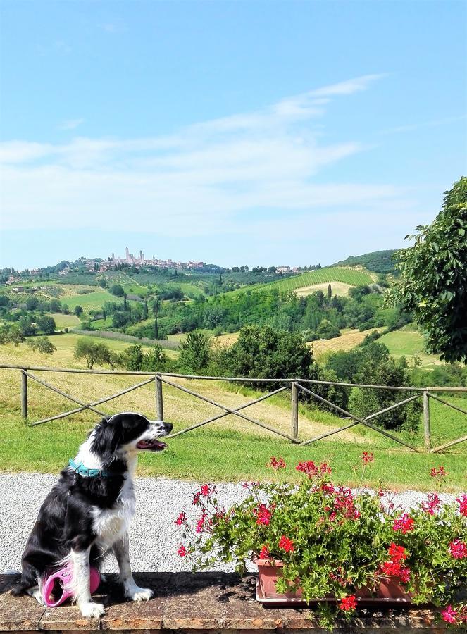 산지미냐노 Agriturismo Poggiacolle 빌라 외부 사진